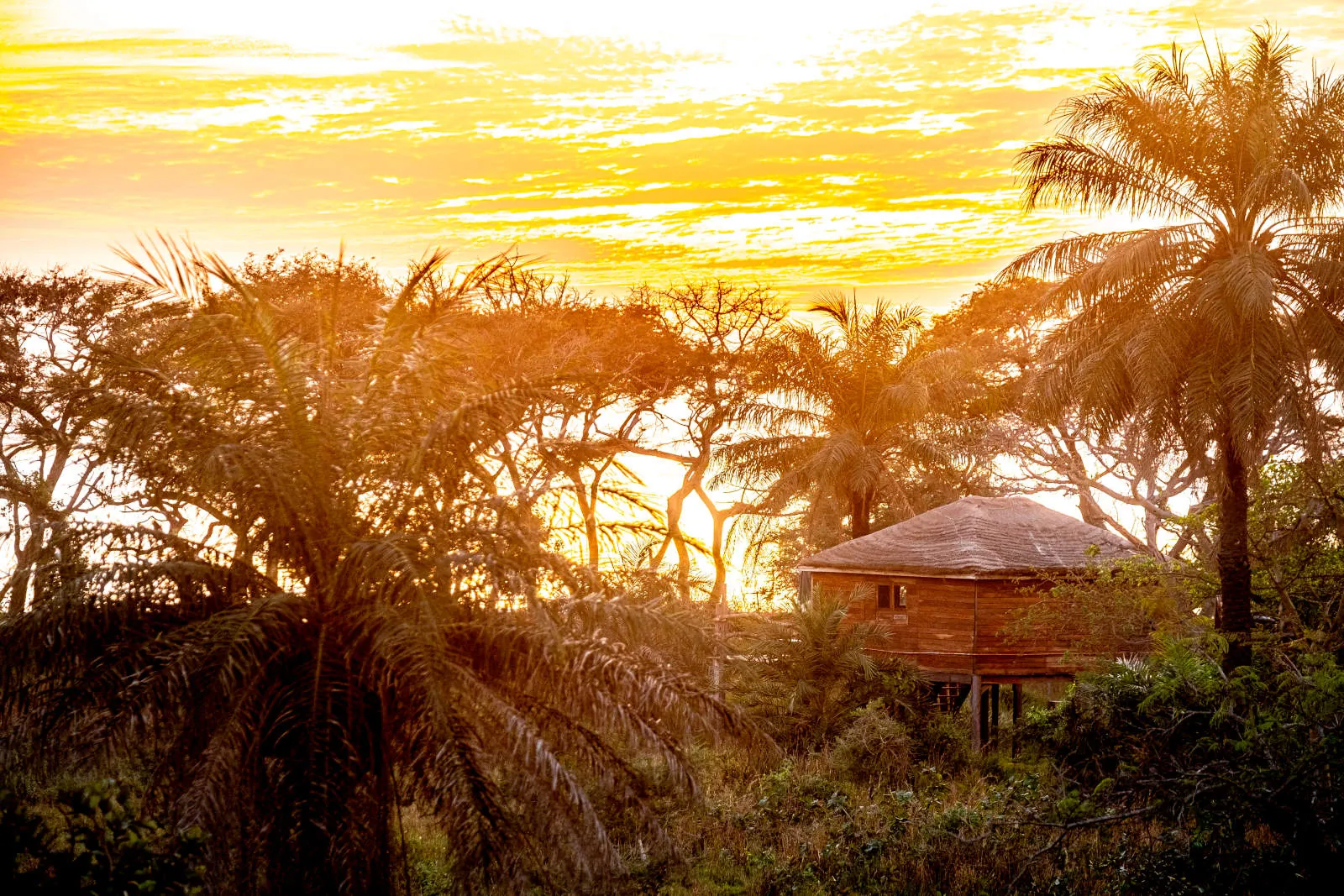 Sunset over the treehouse lodges at Mansa Musso, Sanyang Beach in The Gambia