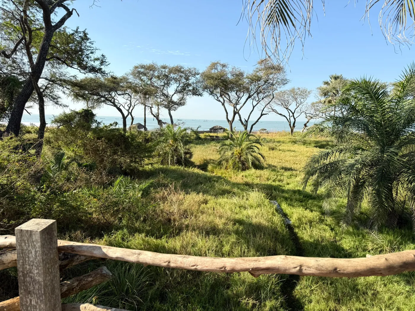 Relaxing on the terrace of a treehouse lodge at Mansa Musso, Sanyang